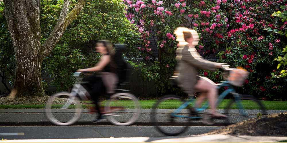 Two students heading opposite directions on bikes