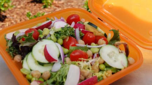 salad in an Eco2Go container