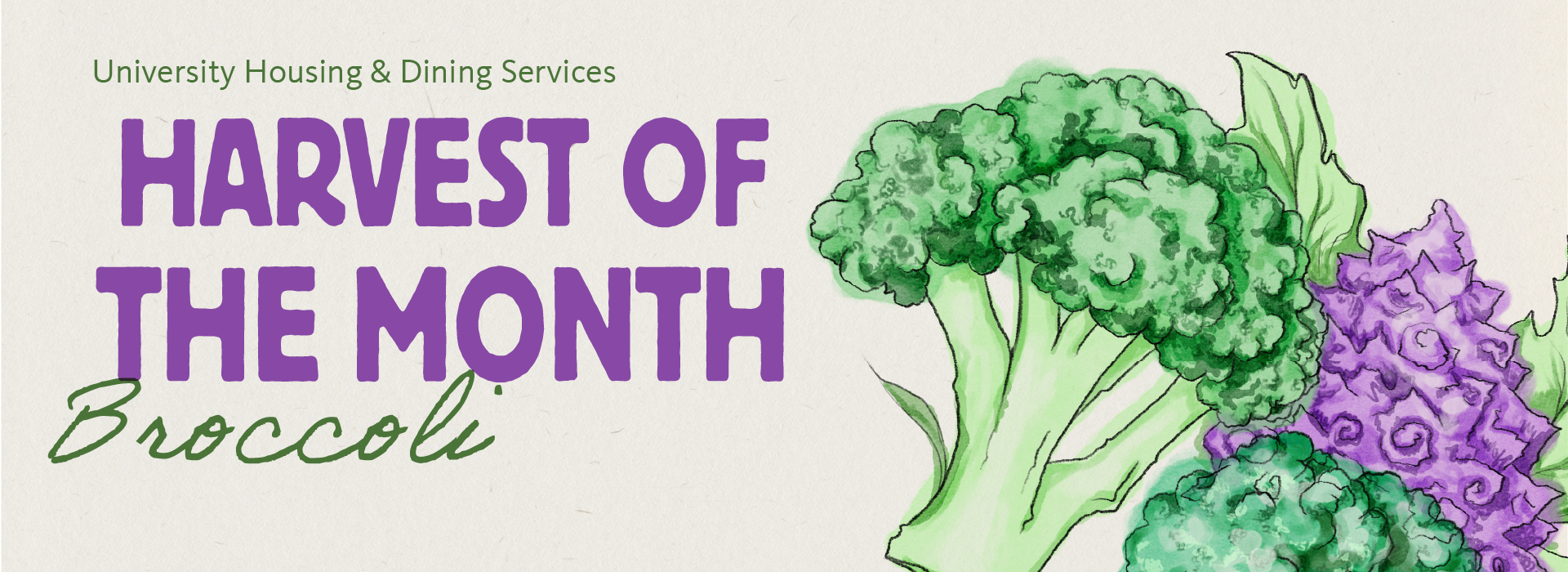 Harvest of the Month Broccoli with illustration of broccoli
