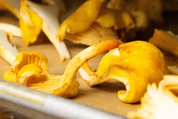 Close up of shredded mushroom.