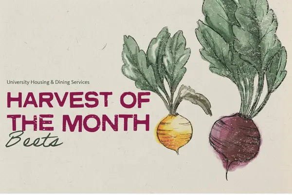 Beets